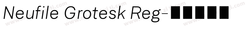 Neufile Grotesk Reg字体转换